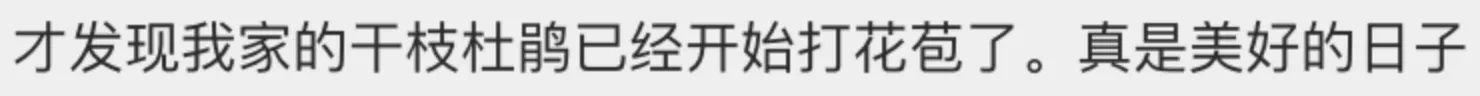 IMG_4736.PNG
