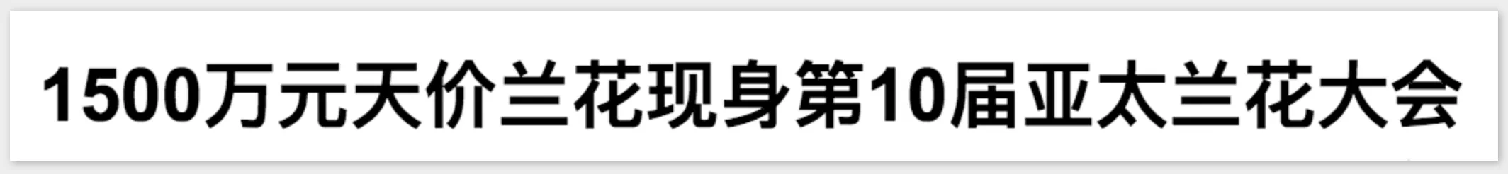 IMG_4753.PNG