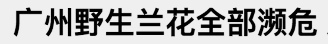 IMG_4754.PNG