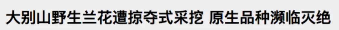 IMG_4756.PNG