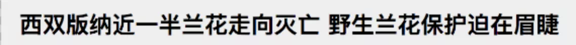 IMG_4755.PNG