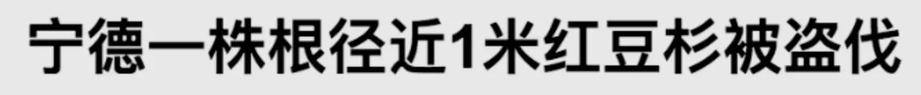 IMG_4761.PNG
