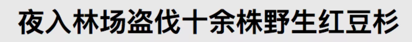 IMG_4763.PNG