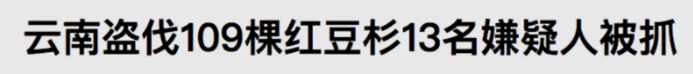 IMG_4762.PNG