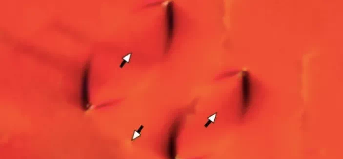 2281F81F-7C58-42A6-B6CE-B5BD6EDCEFA4.png