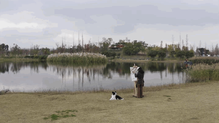 IMG_6135.GIF