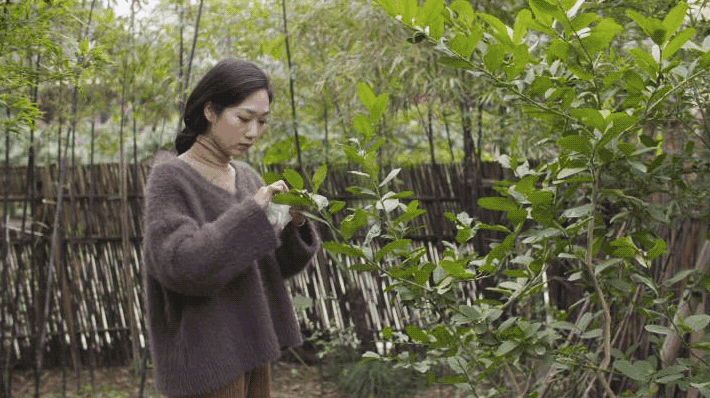 IMG_6154.GIF
