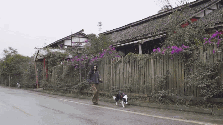 IMG_6184.GIF