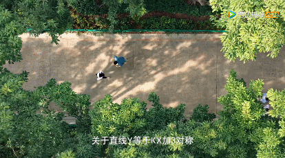 IMG_6515.GIF