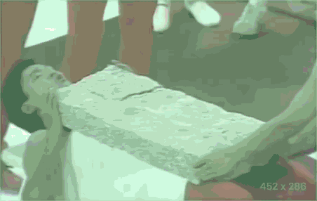 IMG_6205.GIF