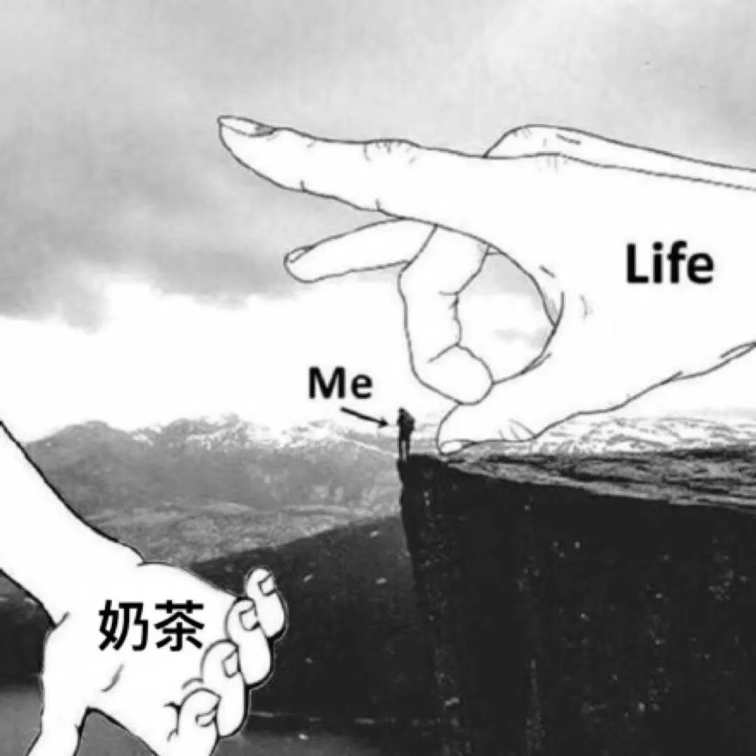 IMG_8657.PNG