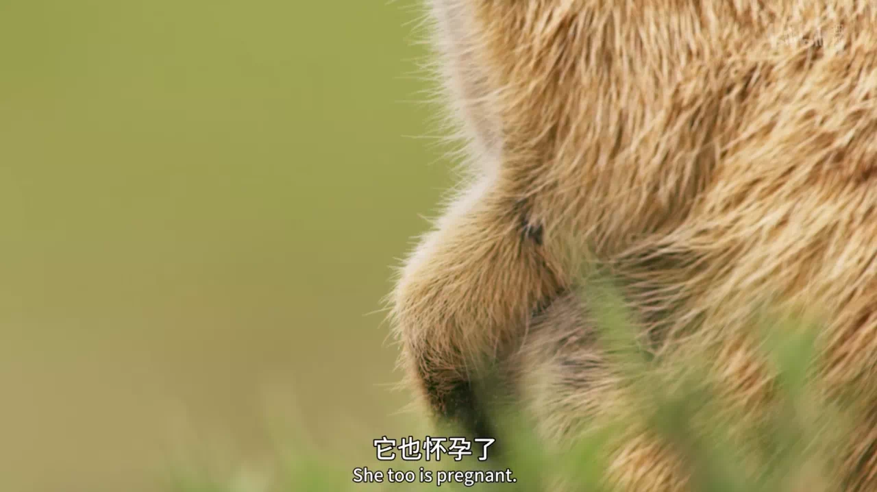 IMG_9229.PNG