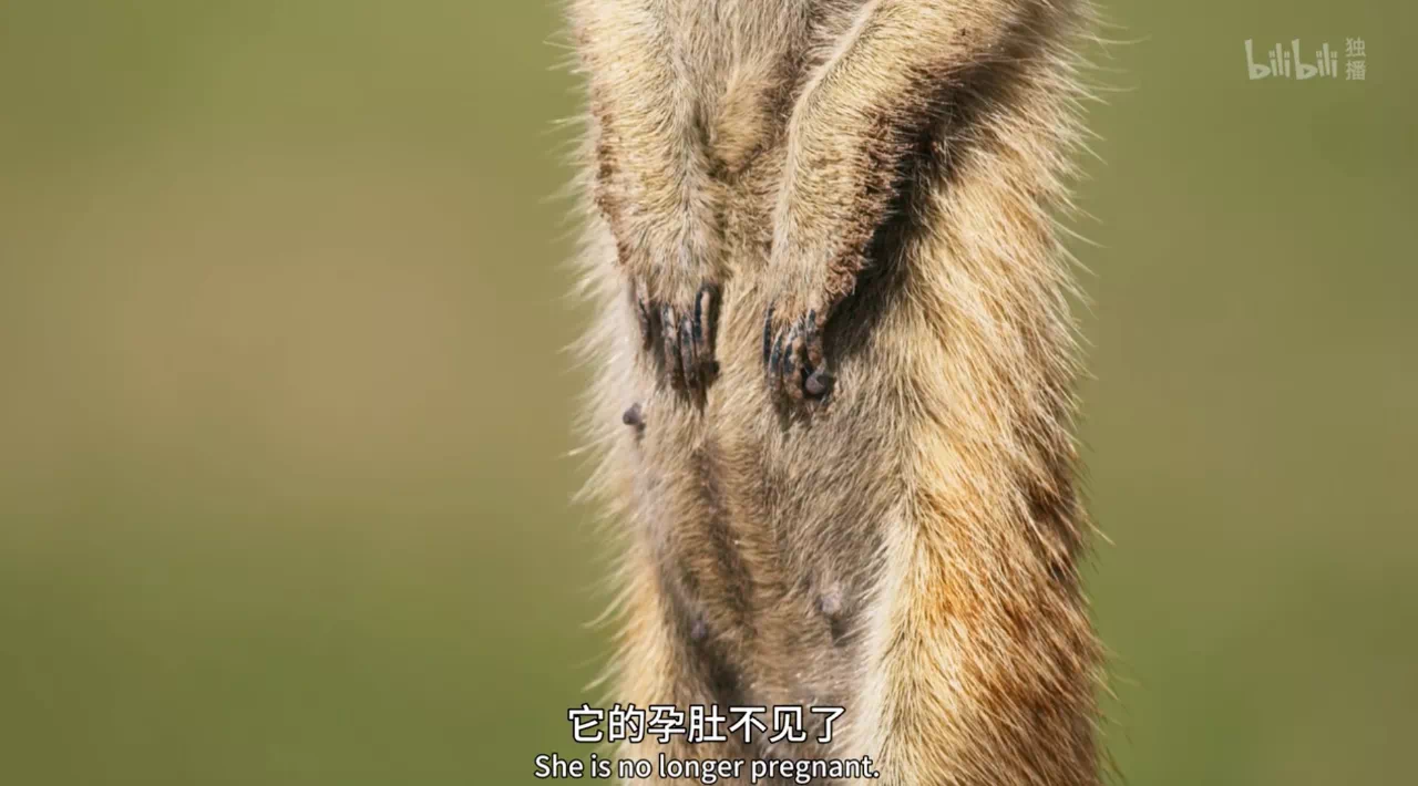 IMG_9230.PNG