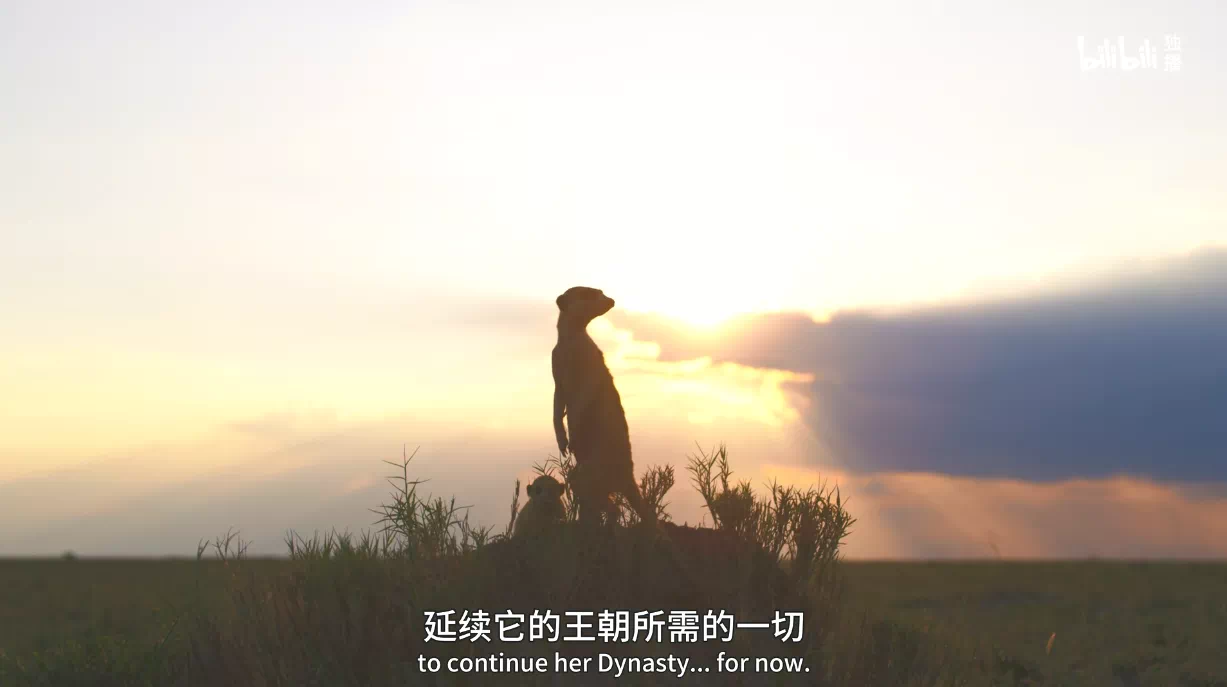 IMG_9236.PNG