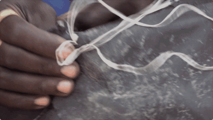 IMG_0569.GIF