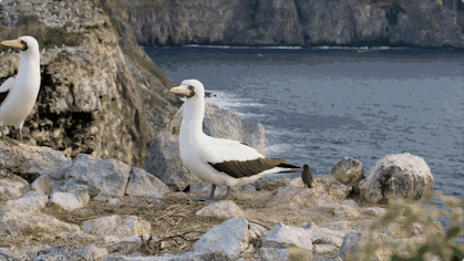 IMG_0574.GIF