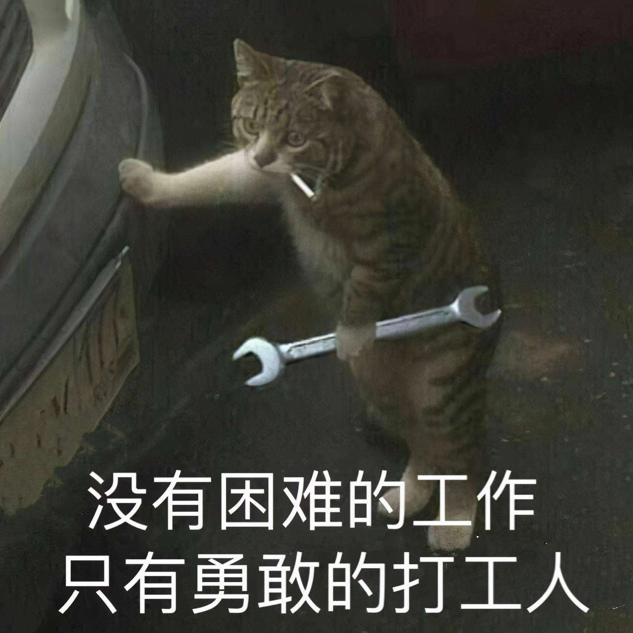 24F1F32E-227A-42B8-B8DB-BA9C3A4C9A74.jpeg