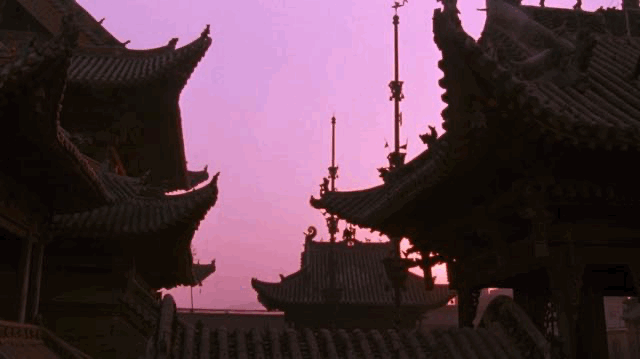 IMG_6687.GIF