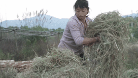 IMG_6977.GIF