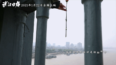 IMG_7938.GIF