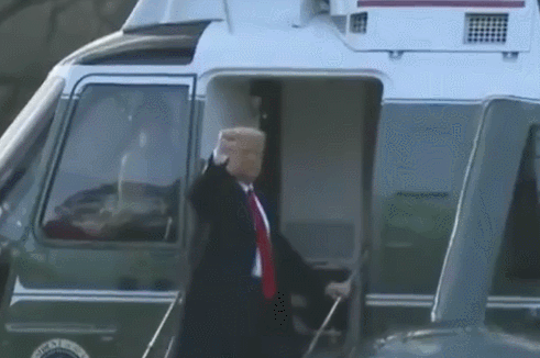 a73.gif