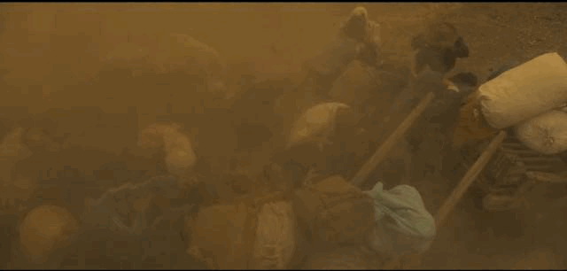 IMG_9579.GIF