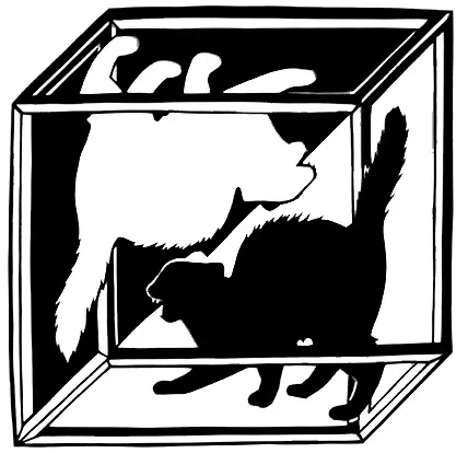 IMG_3047.PNG