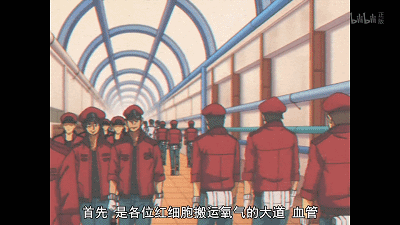 IMG_3355.GIF
