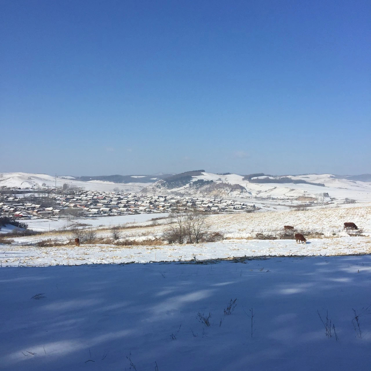 528031C5-BEF6-4587-8E59-9AEA17E7D0F2.jpeg