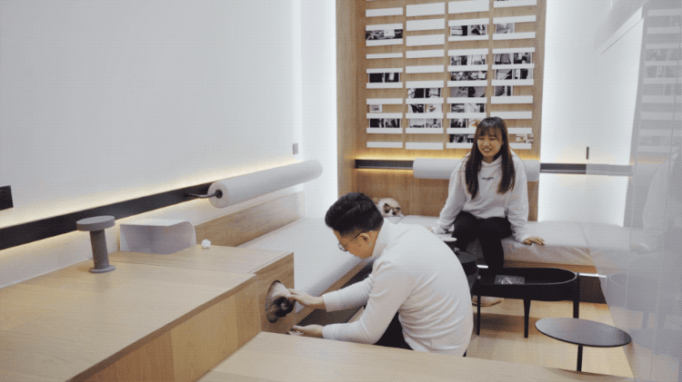 IMG_5432.GIF