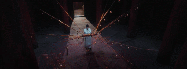 IMG_8711.GIF