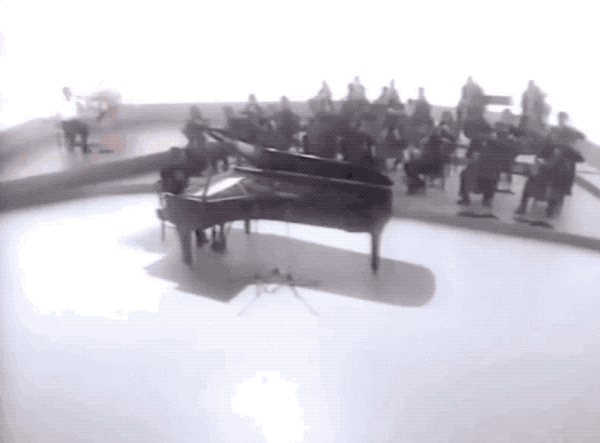 IMG_9032.GIF