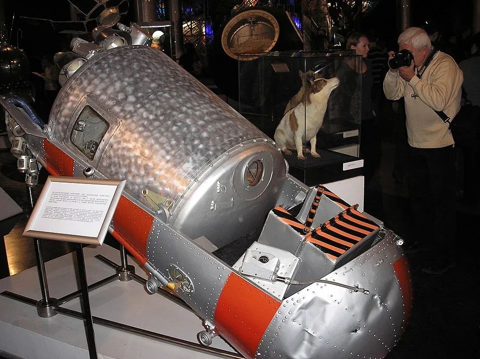 x650.jpg