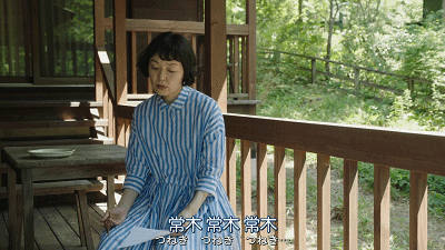IMG_9441.GIF