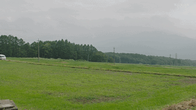 IMG_9446.GIF