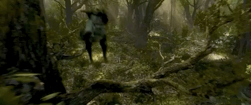 IMG_0445.GIF