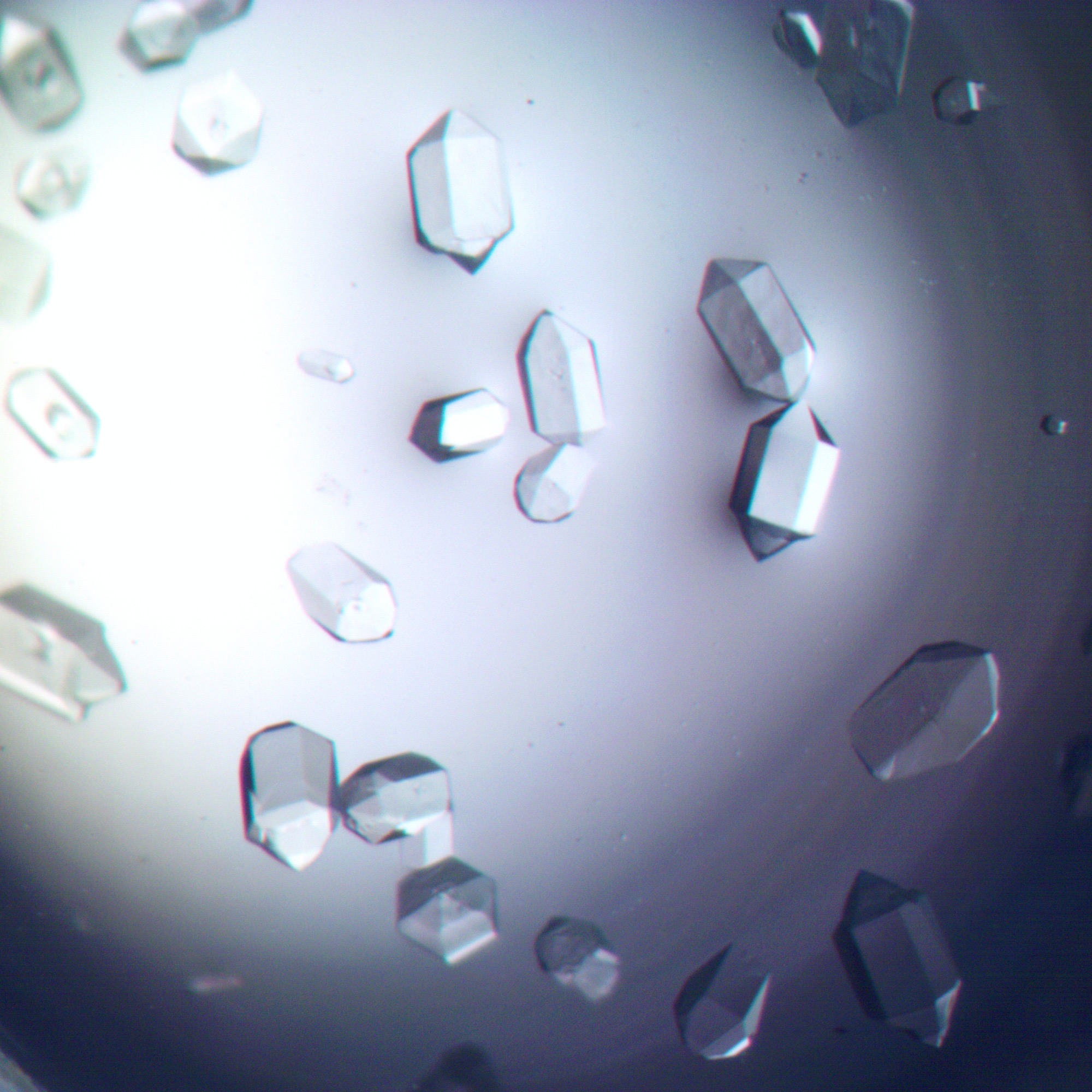 C9F68077-A533-4449-A187-153008C4439F.jpeg