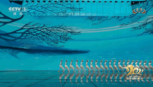 IMG_1520.GIF