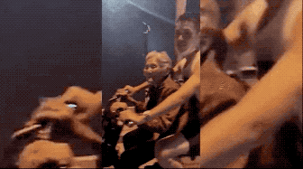 x947.gif