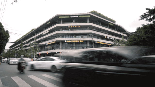 IMG_2914.GIF