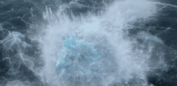 IMG_3249.GIF