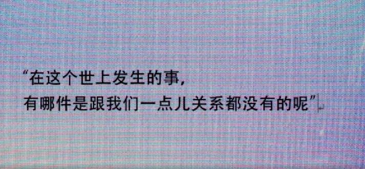 IMG_3576.PNG