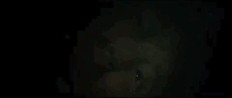 IMG_6373.GIF