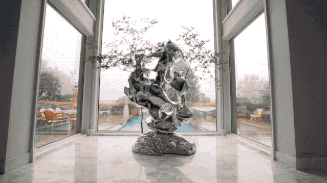 IMG_6737.GIF