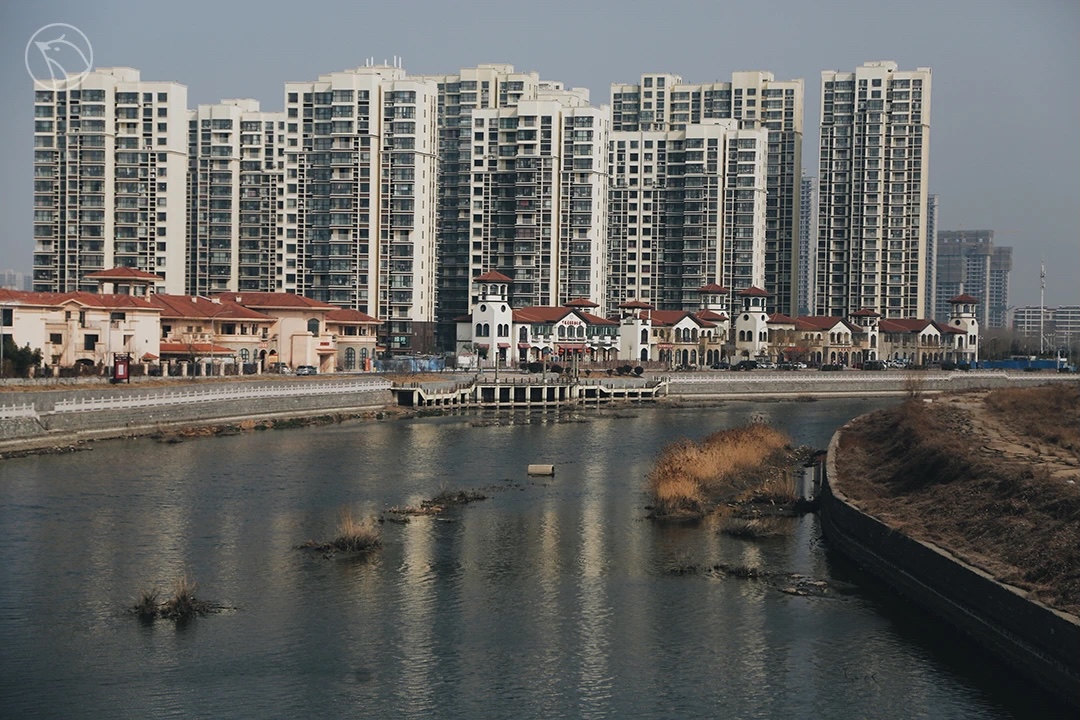 IMG_7040.JPG