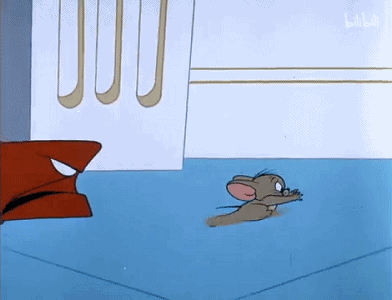 22.gif
