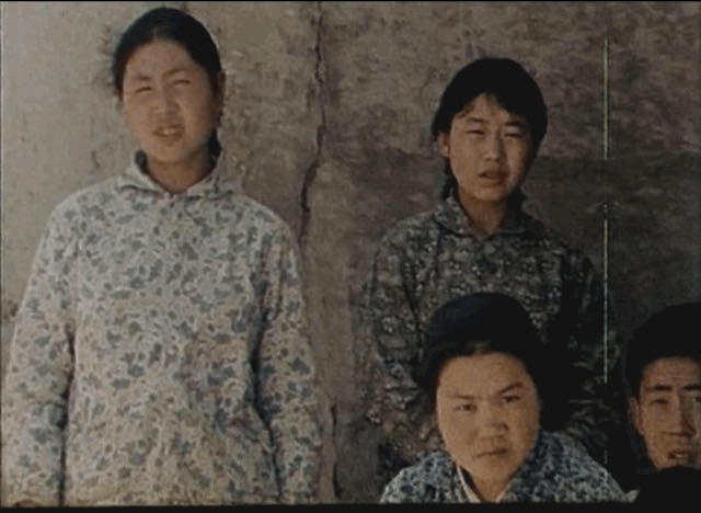 13.gif