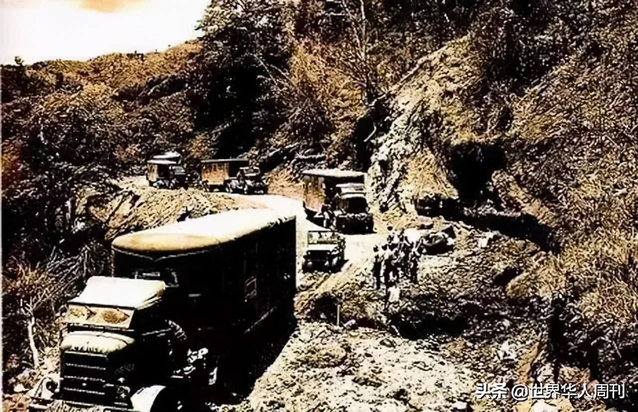 t498.jpg