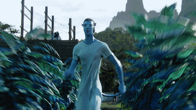 8.gif