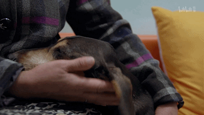 8.gif